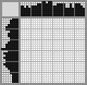 Japanese crossword &laquo;Ground beetle&raquo;