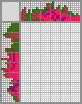 Japanese crossword «Schlumbergera» Japanese crossword «Schlumbergera»